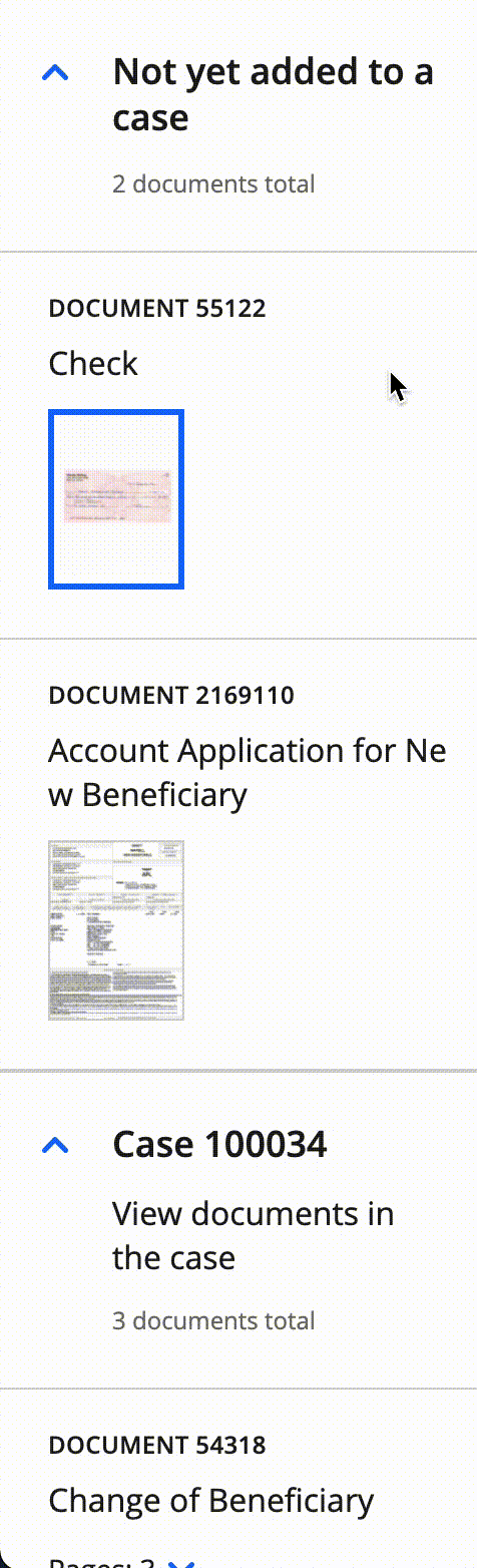 document_true_case_true